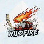 Makna dan lirik lagu Wildfire Blink182