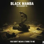 The Academy Is... ALMOST HERE Defiance Anti-Establishment Authenticity Punk Attitude