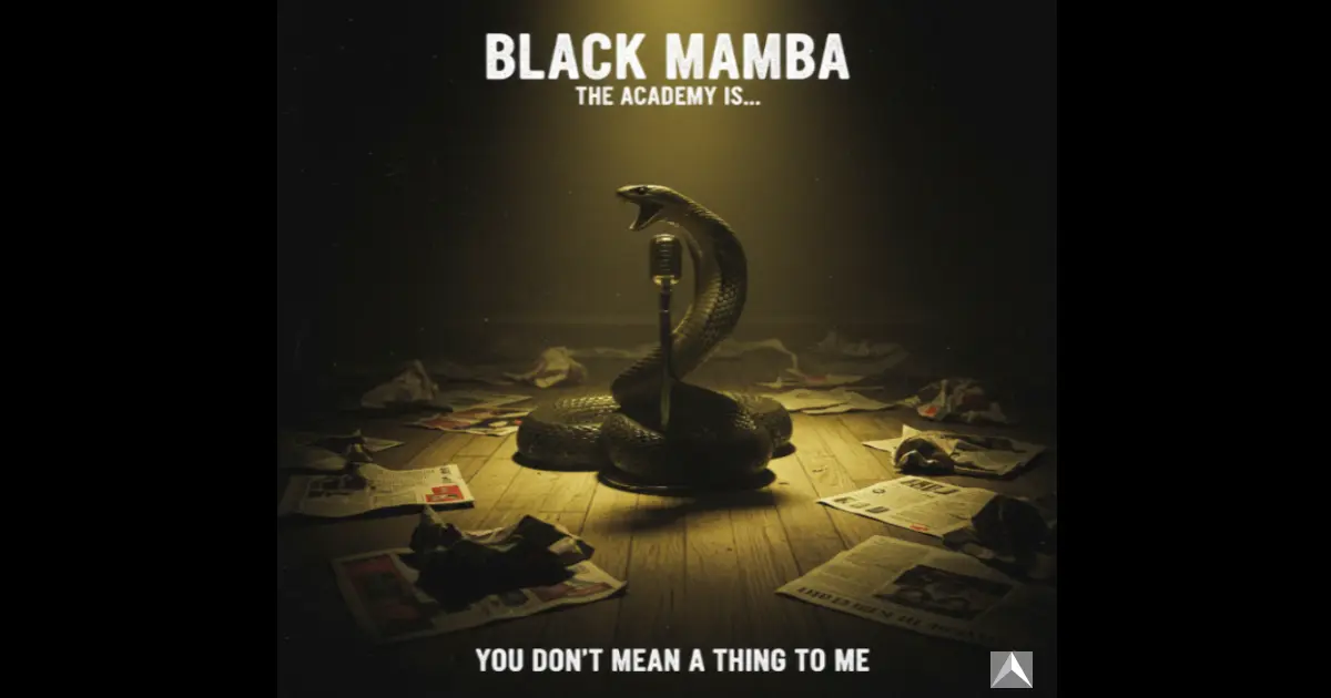 The Academy Is... ALMOST HERE Defiance Anti-Establishment Authenticity Punk Attitude