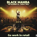 The Academy Is... FAST TIMES AT BARRINGTON HIGH Dance-Punk Anti-Critic Industry Rebellion Party Mix