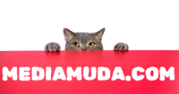 Mediamuda.com